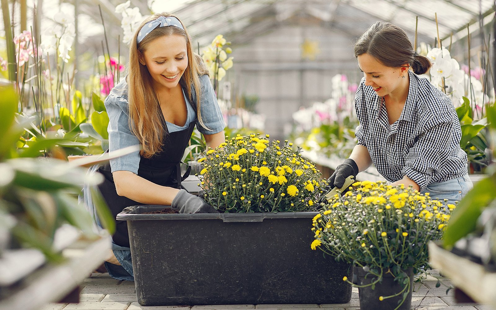 Maximizing Small Spaces for Big Garden Yields